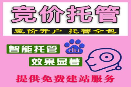 行业领先企业的信息流广告投放策略
